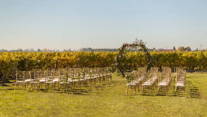 A vineyard ceremony at Bella Terra Vineyards in Niagara on the Lake