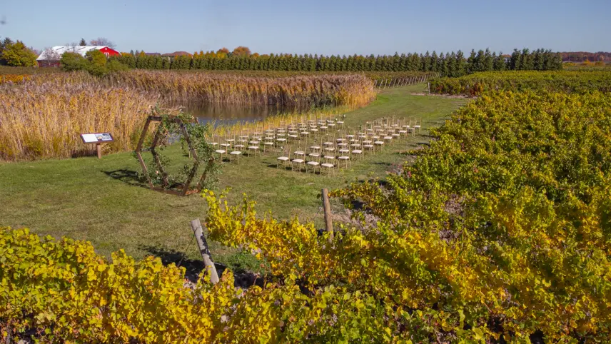 vineyard wedding location with outdoor ceremony and tented reception