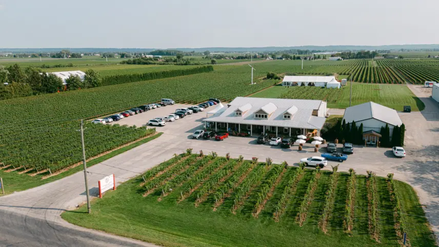 Bella Terra Vineyards a winery wedding venue in Niagara on the Lake