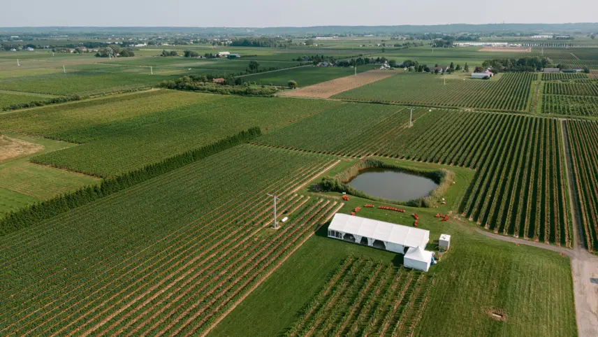 Drone picture of the wedding tent at Bella Terra Vineyards in Niagara on the Lake, Ontario