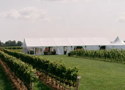 A wedding reception in the tented pondview terrace at Bella Terra Vineyards in Niagara-on-the-Lake.