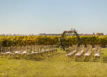 A wedding ceremony set up in the vineyard at Bella Terra Vineyards in Niagara-on-the-Lake.