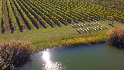 A vineyard wedding ceremony by the water at the Bella Terra Vineyards in Niagara-on-the-Lake.