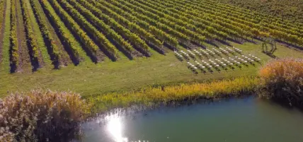 A wedding ceremony set up in a Niagara vineyard.