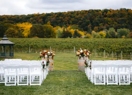 A vineyard ceremony set up at Cave Spring Vineyard in Beamsville.