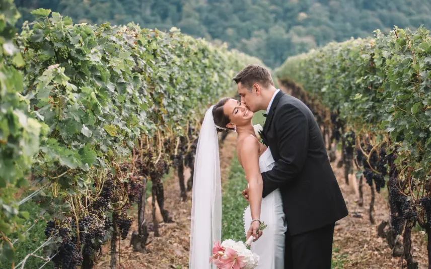 Newlyweds hugging in a vineyard in Niagara, Ontario.