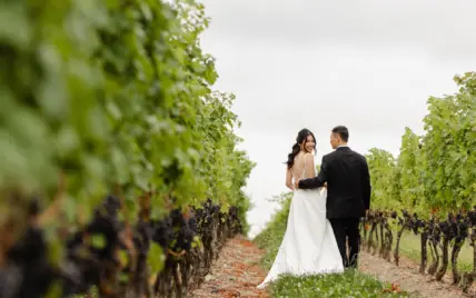 Newlyweds walking through a vineyard in Niagara, Ontario.