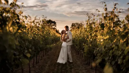 A newly married couple kissing in a Niagara vineyard during a sunset.