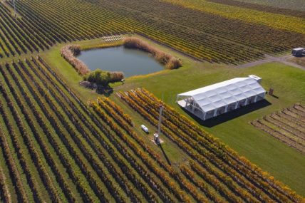 Bella Terra Vineyards wedding venue in wine country in Niagara-on-the-Lake