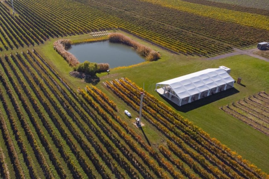 Bella Terra Vineyards wedding venue in wine country in Niagara-on-the-Lake