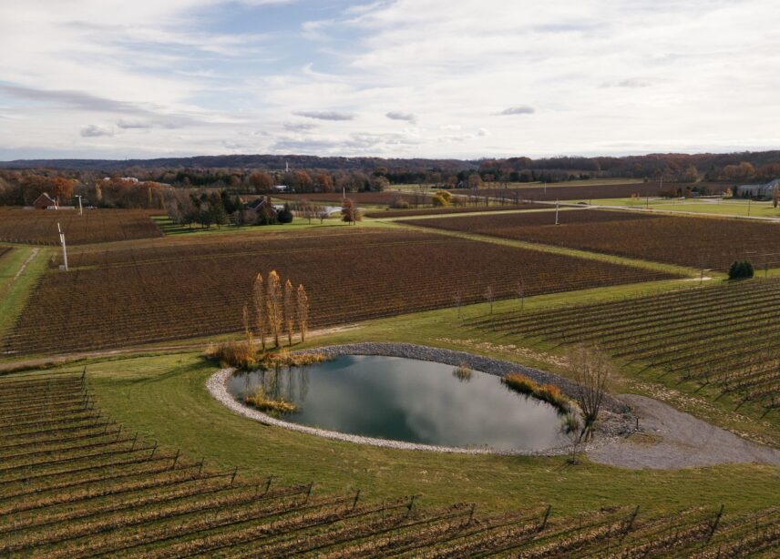 Vineyard Ceremony location at Amo Estate Winery in Niagara on the Lake.